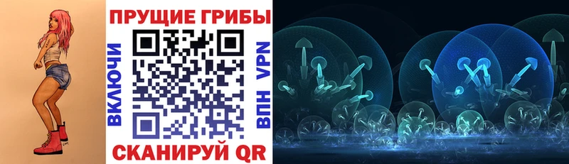 гидра онион  Вичуга  Псилоцибиновые грибы GOLDEN TEACHER 