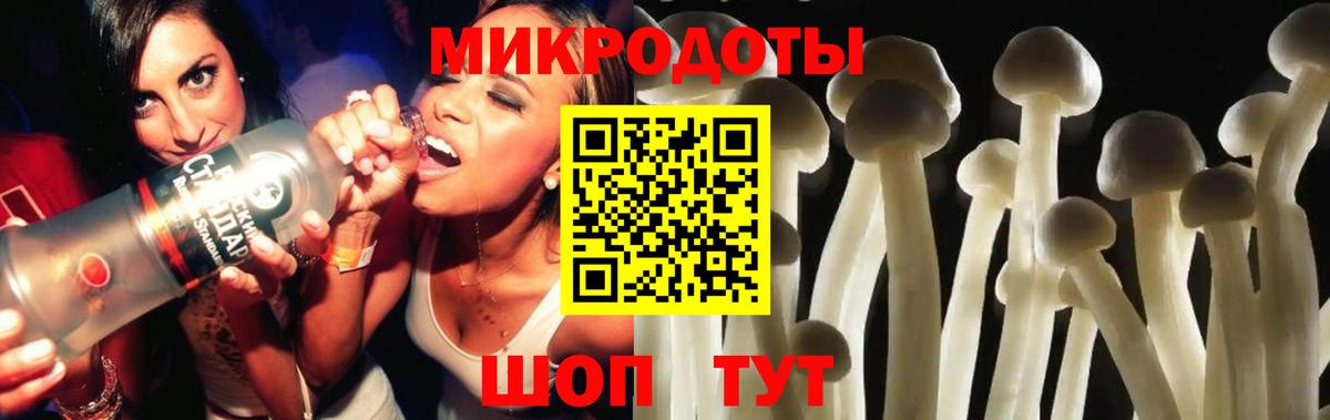 Вичуга  Галлюциногенные грибы Cubensis  Вход с VPN 